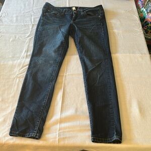 12s denim jeans from torrid